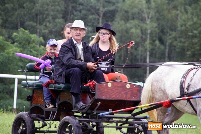 Zdjęcie w galerii na portalu naszwodzislaw.com: IX Pokaz Konia Śląskiego w Krostoszowicach wiadomości z regionu