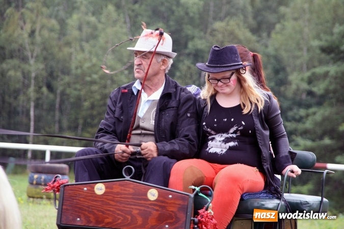 Zdjęcie w galerii na portalu naszwodzislaw.com: IX Pokaz Konia Śląskiego w Krostoszowicach wiadomości z regionu