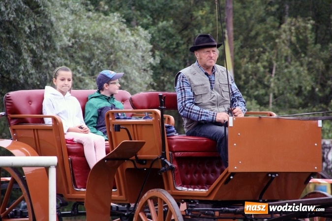 Zdjęcie w galerii na portalu naszwodzislaw.com: IX Pokaz Konia Śląskiego w Krostoszowicach wiadomości z regionu