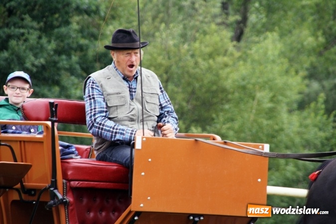 Zdjęcie w galerii na portalu naszwodzislaw.com: IX Pokaz Konia Śląskiego w Krostoszowicach wiadomości z regionu