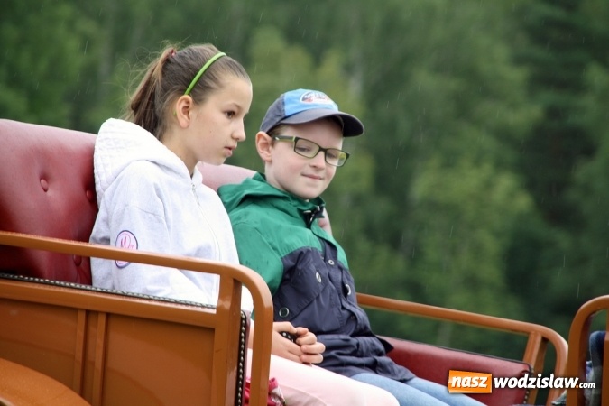 Zdjęcie w galerii na portalu naszwodzislaw.com: IX Pokaz Konia Śląskiego w Krostoszowicach wiadomości z regionu