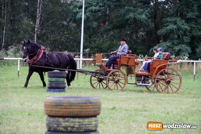 Zdjęcie w galerii na portalu naszwodzislaw.com: IX Pokaz Konia Śląskiego w Krostoszowicach wiadomości z regionu