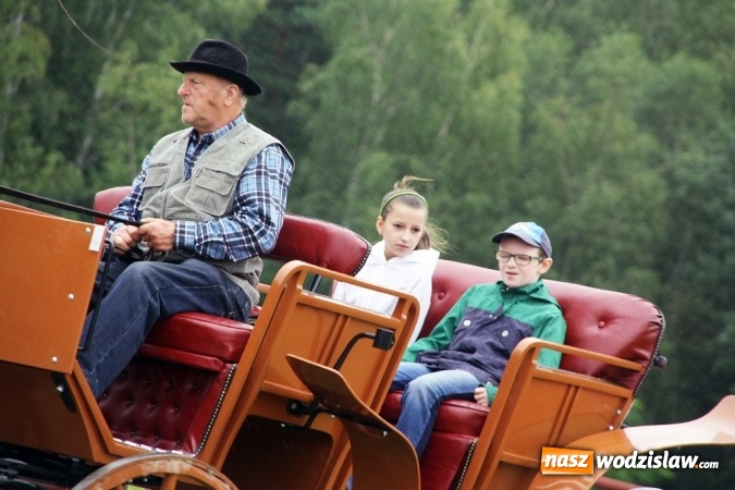 Zdjęcie w galerii na portalu naszwodzislaw.com: IX Pokaz Konia Śląskiego w Krostoszowicach wiadomości z regionu