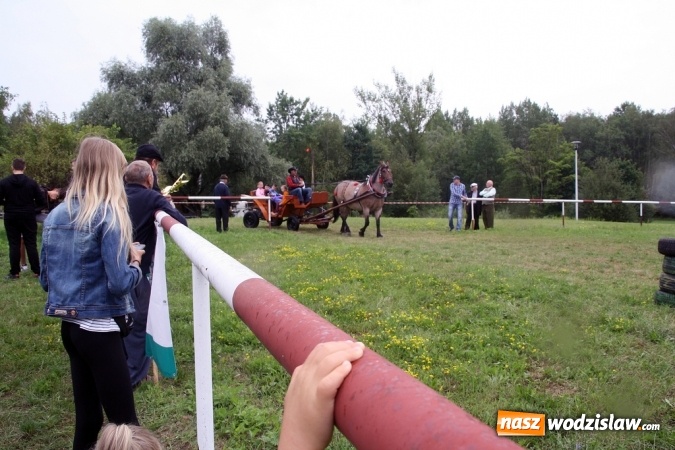 Zdjęcie w galerii na portalu naszwodzislaw.com: IX Pokaz Konia Śląskiego w Krostoszowicach wiadomości z regionu