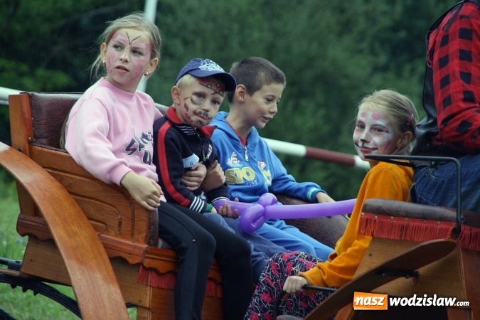 Zdjęcie w galerii na portalu naszwodzislaw.com: IX Pokaz Konia Śląskiego w Krostoszowicach wiadomości z regionu