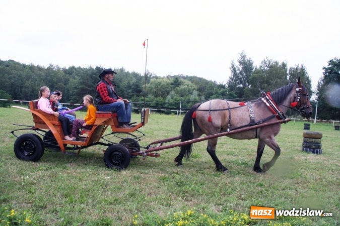 Zdjęcie w galerii na portalu naszwodzislaw.com: IX Pokaz Konia Śląskiego w Krostoszowicach wiadomości z regionu