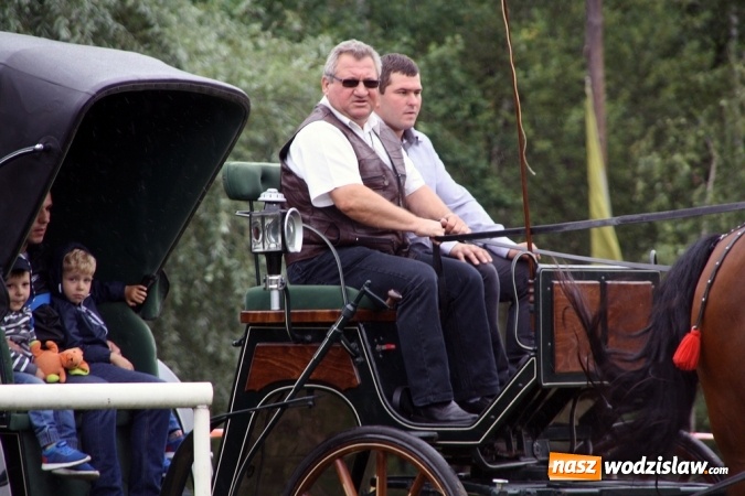 Zdjęcie w galerii na portalu naszwodzislaw.com: IX Pokaz Konia Śląskiego w Krostoszowicach wiadomości z regionu