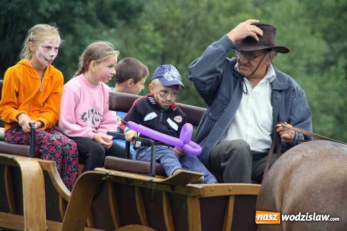 Zdjęcie w galerii na portalu naszwodzislaw.com: IX Pokaz Konia Śląskiego w Krostoszowicach wiadomości z regionu