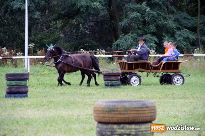 Zdjęcie w galerii na portalu naszwodzislaw.com: IX Pokaz Konia Śląskiego w Krostoszowicach wiadomości z regionu
