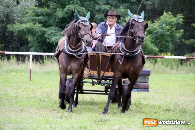 Zdjęcie w galerii na portalu naszwodzislaw.com: IX Pokaz Konia Śląskiego w Krostoszowicach wiadomości z regionu