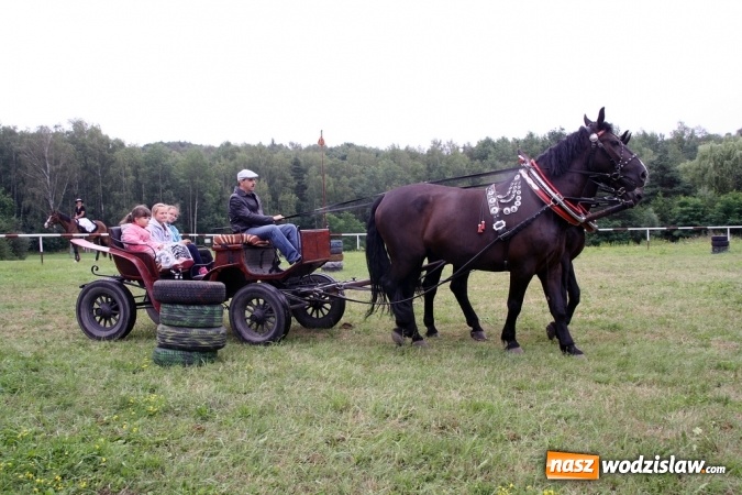 Zdjęcie w galerii na portalu naszwodzislaw.com: IX Pokaz Konia Śląskiego w Krostoszowicach wiadomości z regionu