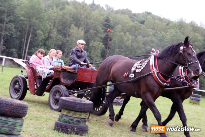 Zdjęcie w galerii na portalu naszwodzislaw.com: IX Pokaz Konia Śląskiego w Krostoszowicach wiadomości z regionu