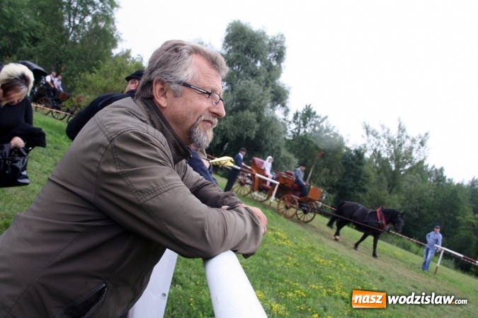 Zdjęcie w galerii na portalu naszwodzislaw.com: IX Pokaz Konia Śląskiego w Krostoszowicach wiadomości z regionu