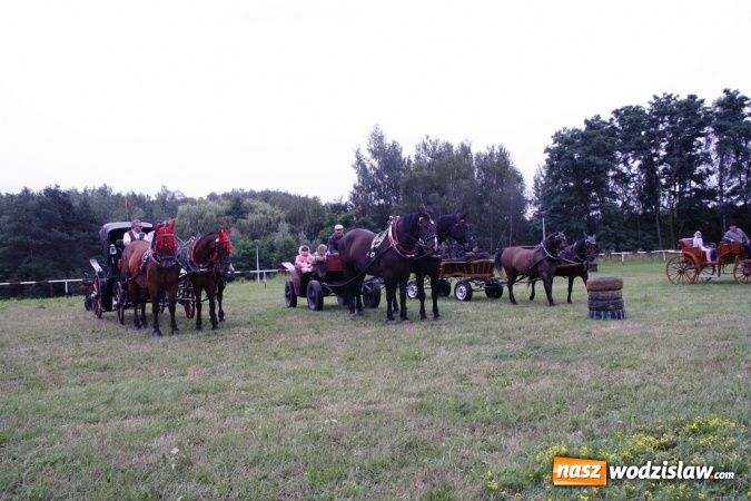 Zdjęcie w galerii na portalu naszwodzislaw.com: IX Pokaz Konia Śląskiego w Krostoszowicach wiadomości z regionu