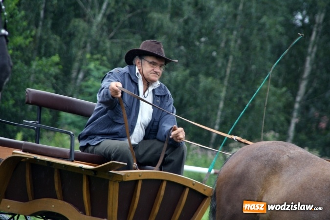 Zdjęcie w galerii na portalu naszwodzislaw.com: IX Pokaz Konia Śląskiego w Krostoszowicach wiadomości z regionu