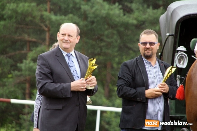 Zdjęcie w galerii na portalu naszwodzislaw.com: IX Pokaz Konia Śląskiego w Krostoszowicach wiadomości z regionu