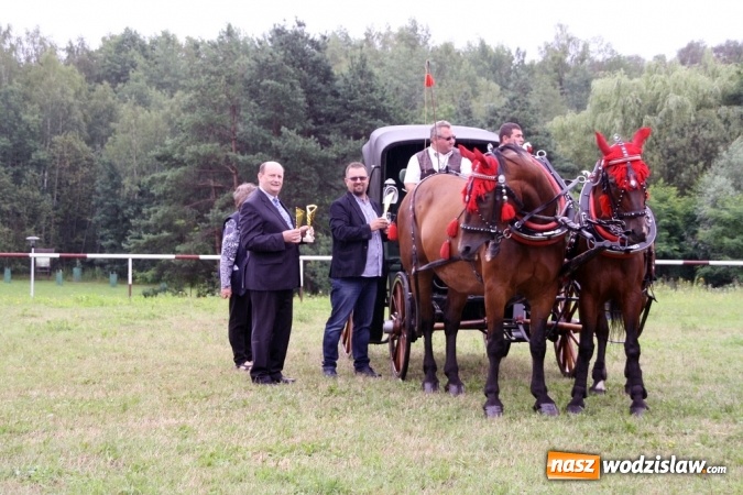 Zdjęcie w galerii na portalu naszwodzislaw.com: IX Pokaz Konia Śląskiego w Krostoszowicach wiadomości z regionu