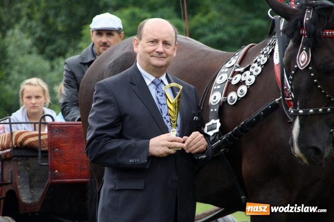Zdjęcie w galerii na portalu naszwodzislaw.com: IX Pokaz Konia Śląskiego w Krostoszowicach wiadomości z regionu