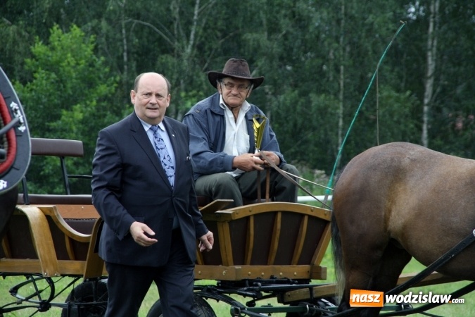 Zdjęcie w galerii na portalu naszwodzislaw.com: IX Pokaz Konia Śląskiego w Krostoszowicach wiadomości z regionu