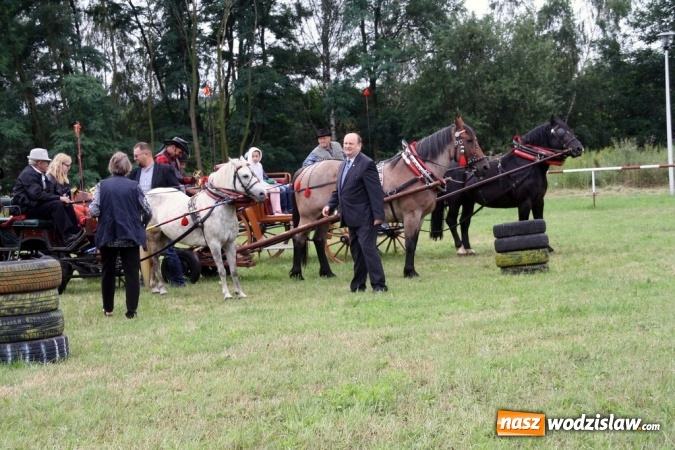 Zdjęcie w galerii na portalu naszwodzislaw.com: IX Pokaz Konia Śląskiego w Krostoszowicach wiadomości z regionu