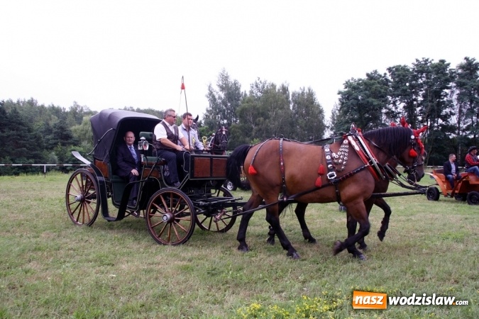 Zdjęcie w galerii na portalu naszwodzislaw.com: IX Pokaz Konia Śląskiego w Krostoszowicach wiadomości z regionu