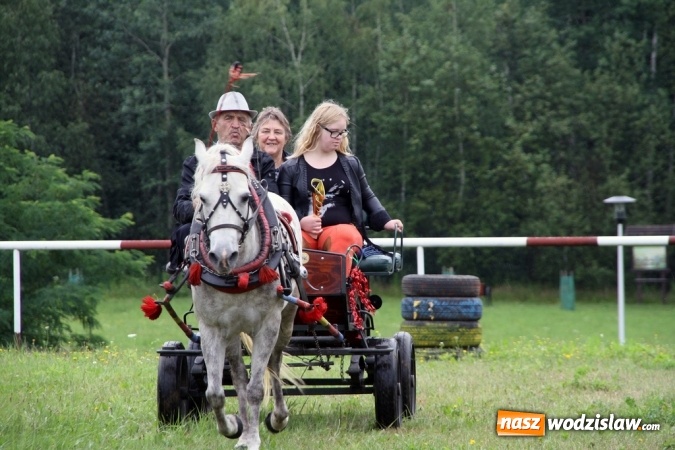 Zdjęcie w galerii na portalu naszwodzislaw.com: IX Pokaz Konia Śląskiego w Krostoszowicach wiadomości z regionu