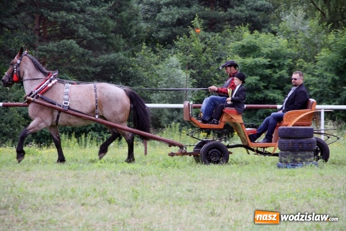 Zdjęcie w galerii na portalu naszwodzislaw.com: IX Pokaz Konia Śląskiego w Krostoszowicach wiadomości z regionu