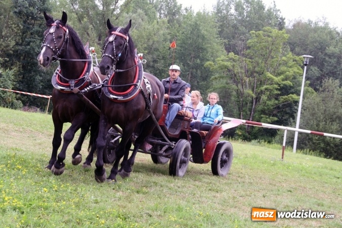 Zdjęcie w galerii na portalu naszwodzislaw.com: IX Pokaz Konia Śląskiego w Krostoszowicach wiadomości z regionu