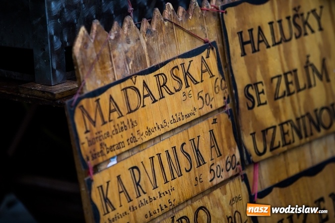 Zdjęcie w galerii na portalu naszwodzislaw.com: Tradycyjne święto piwa w Szylerzowicach wiadomości z regionu