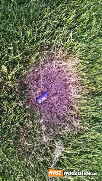 Zdjęcie w galerii na portalu naszwodzislaw.com: Boisko w Radlinie II zdewastowane wiadomości z regionu