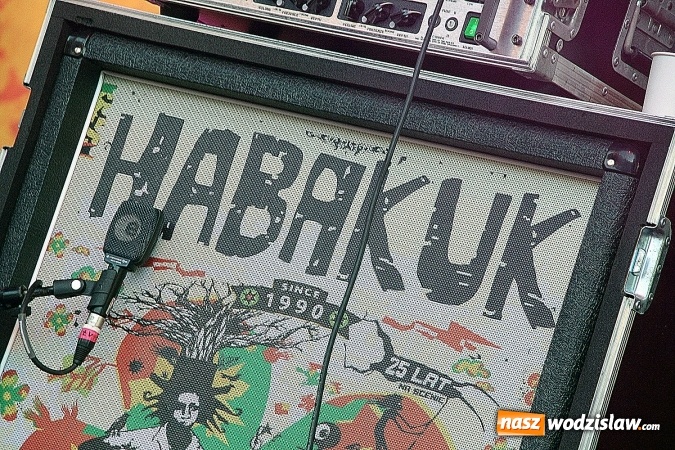 Zdjęcie w galerii na portalu naszwodzislaw.com: Festiwal Reggae 2016. Grubson porwał publiczność wiadomości z regionu