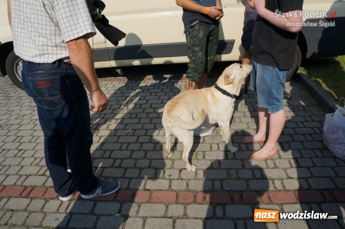 Zdjęcie w galerii na portalu naszwodzislaw.com: 15 osób zatrzymanych z narkotykami podczas Festiwalu Reggae wiadomości z regionu