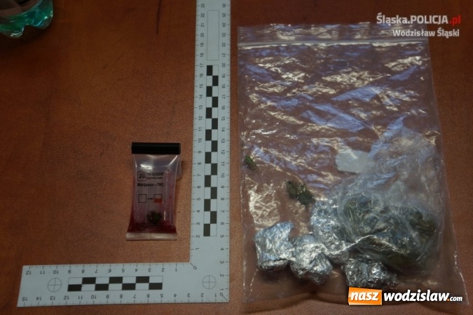 Zdjęcie w galerii na portalu naszwodzislaw.com: 15 osób zatrzymanych z narkotykami podczas Festiwalu Reggae wiadomości z regionu