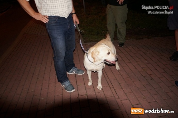 Zdjęcie w galerii na portalu naszwodzislaw.com: 15 osób zatrzymanych z narkotykami podczas Festiwalu Reggae wiadomości z regionu