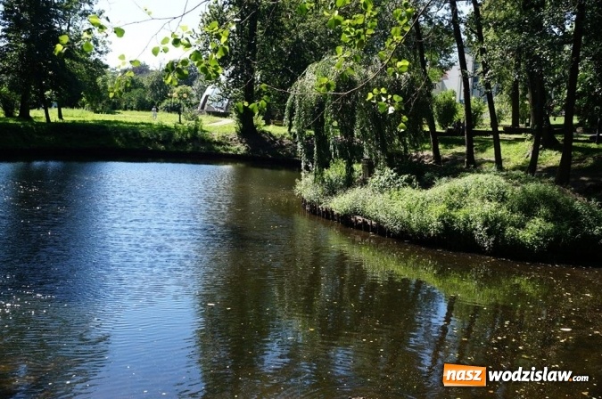 Zdjęcie w galerii na portalu naszwodzislaw.com: Już niedługo wodzisławski Park Miejski wypięknieje. Ruszyły prace  wiadomości z regionu