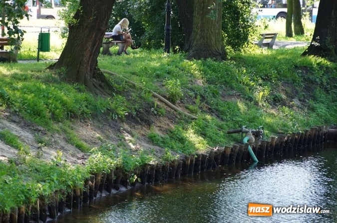 Zdjęcie w galerii na portalu naszwodzislaw.com: Już niedługo wodzisławski Park Miejski wypięknieje. Ruszyły prace  wiadomości z regionu