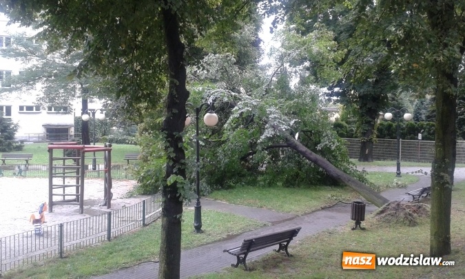 Zdjęcie w galerii na portalu naszwodzislaw.com: Nawałnica przeszła nad naszym regionem! Strażacy mają pełne ręce roboty. Występują utrudnienia w ruchu. FOTO i WIDEO wiadomości z regionu