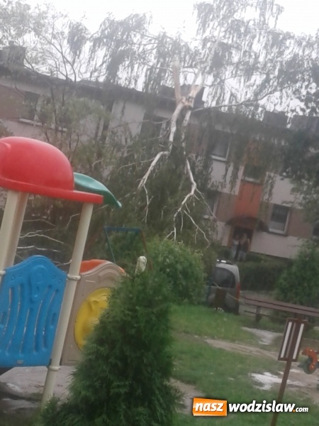 Zdjęcie w galerii na portalu naszwodzislaw.com: Nawałnica przeszła nad naszym regionem! Strażacy mają pełne ręce roboty. Występują utrudnienia w ruchu. FOTO i WIDEO wiadomości z regionu