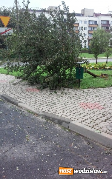 Zdjęcie w galerii na portalu naszwodzislaw.com: Nawałnica przeszła nad naszym regionem! Strażacy mają pełne ręce roboty. Występują utrudnienia w ruchu. FOTO i WIDEO wiadomości z regionu