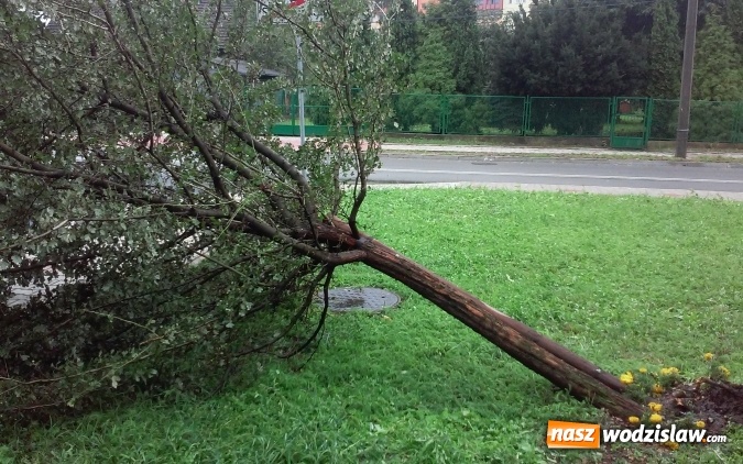 Zdjęcie w galerii na portalu naszwodzislaw.com: Nawałnica przeszła nad naszym regionem! Strażacy mają pełne ręce roboty. Występują utrudnienia w ruchu. FOTO i WIDEO wiadomości z regionu