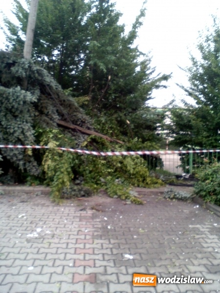 Zdjęcie w galerii na portalu naszwodzislaw.com: Nawałnica przeszła nad naszym regionem! Strażacy mają pełne ręce roboty. Występują utrudnienia w ruchu. FOTO i WIDEO wiadomości z regionu