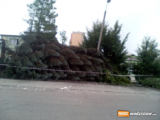 Zdjęcie w galerii na portalu naszwodzislaw.com: Nawałnica przeszła nad naszym regionem! Strażacy mają pełne ręce roboty. Występują utrudnienia w ruchu. FOTO i WIDEO wiadomości z regionu
