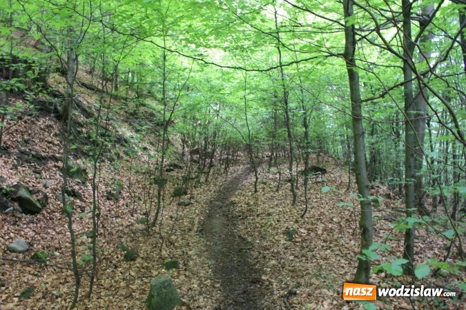 Zdjęcie w galerii na portalu naszwodzislaw.com: Quady i motocykle, które niszczą rezerwaty wiadomości z regionu