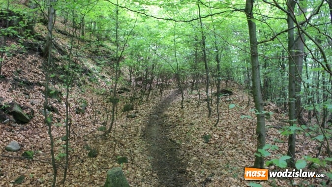 Zdjęcie w galerii na portalu naszwodzislaw.com: Quady i motocykle, które niszczą rezerwaty wiadomości z regionu