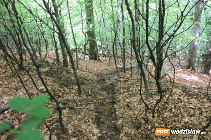 Zdjęcie w galerii na portalu naszwodzislaw.com: Quady i motocykle, które niszczą rezerwaty wiadomości z regionu