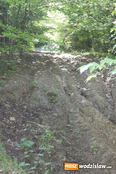 Zdjęcie w galerii na portalu naszwodzislaw.com: Quady i motocykle, które niszczą rezerwaty wiadomości z regionu