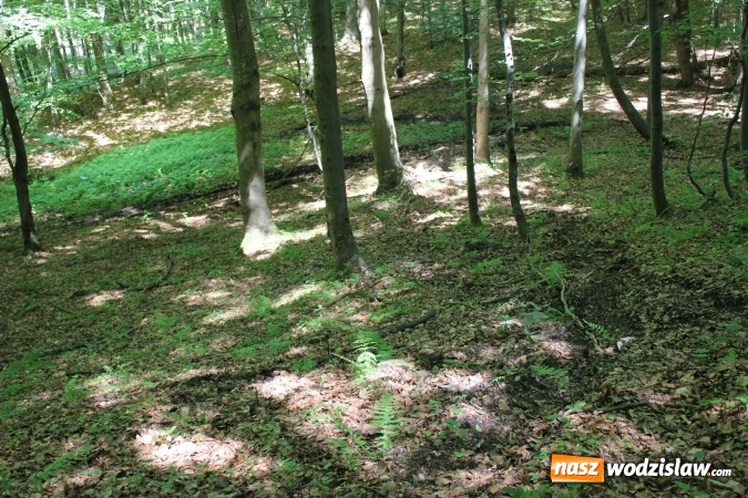 Zdjęcie w galerii na portalu naszwodzislaw.com: Quady i motocykle, które niszczą rezerwaty wiadomości z regionu