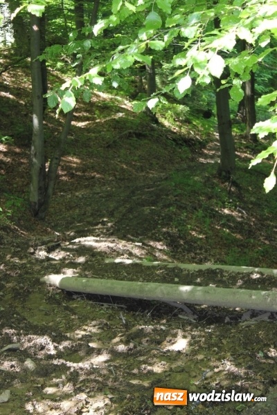 Zdjęcie w galerii na portalu naszwodzislaw.com: Quady i motocykle, które niszczą rezerwaty wiadomości z regionu