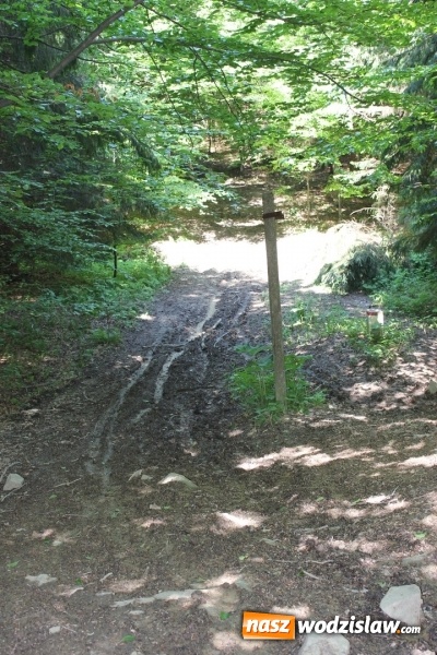 Zdjęcie w galerii na portalu naszwodzislaw.com: Quady i motocykle, które niszczą rezerwaty wiadomości z regionu