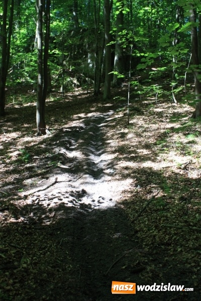 Zdjęcie w galerii na portalu naszwodzislaw.com: Quady i motocykle, które niszczą rezerwaty wiadomości z regionu